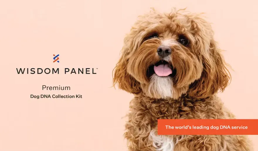 Wisdom Panel™ Premium, photo 6 of 8