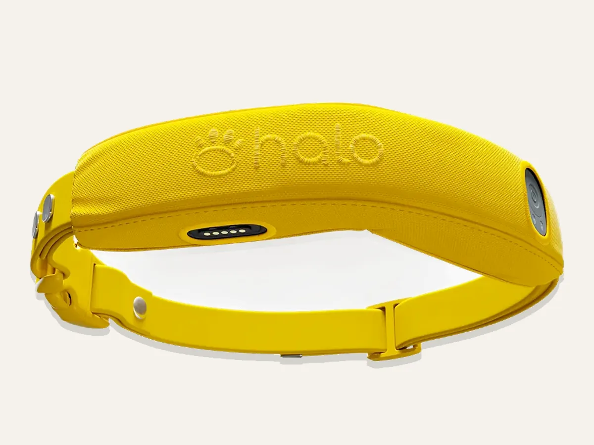 Halo Collar 4