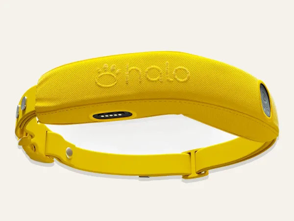 Halo Collar 4