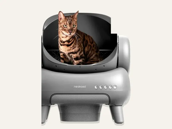 Neakasa M1 Plus Open Top Self-Cleaning Cat Litter Box