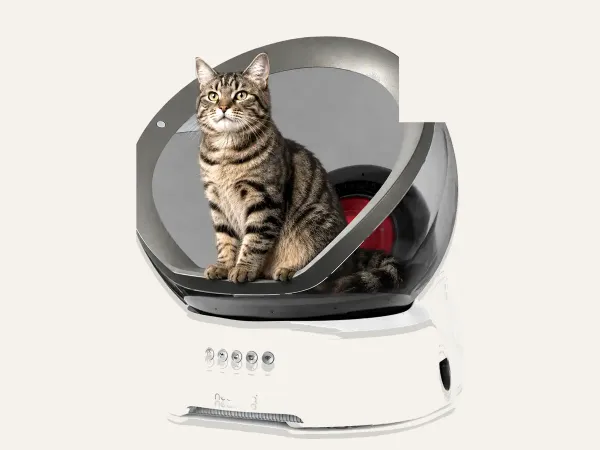 Neakasa M9 Open-View Cat Litter Box – Automatic & Self-Cleaning