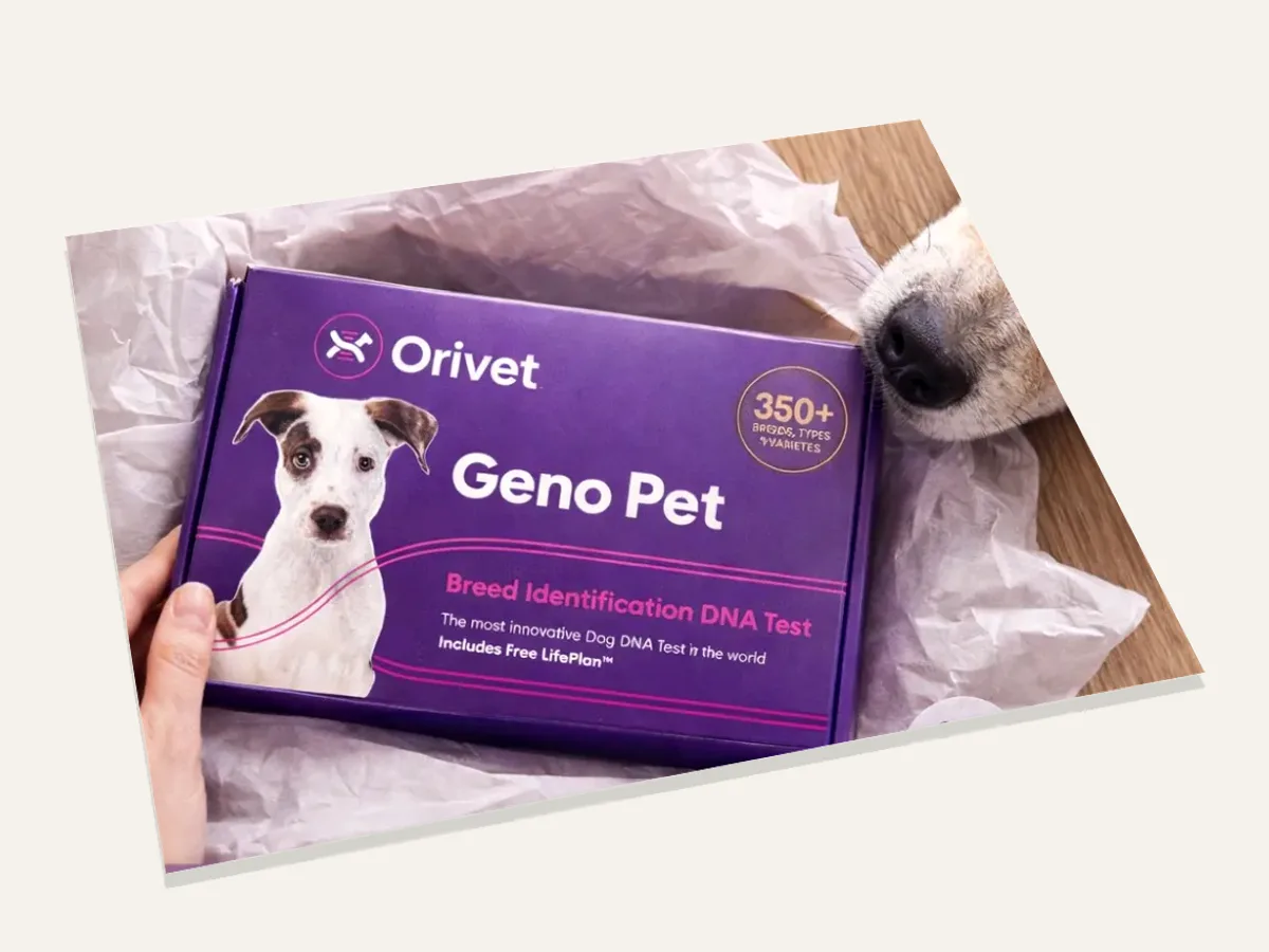 Orivet Geno Pet Dog Breed Identification Test Kit
