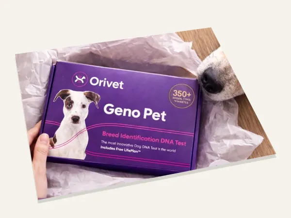 Orivet Geno Pet Dog Breed Identification Test Kit