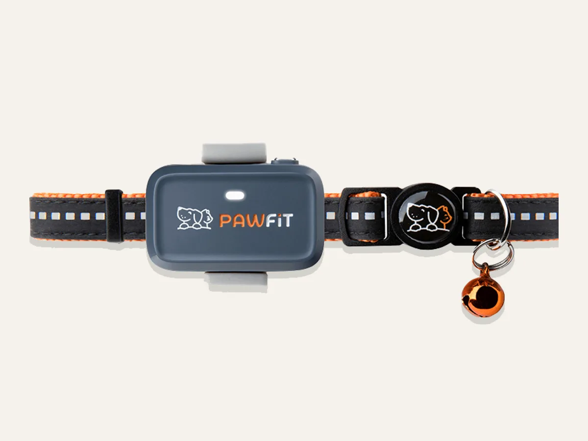 Pawfit Lite GPS tracker for cats