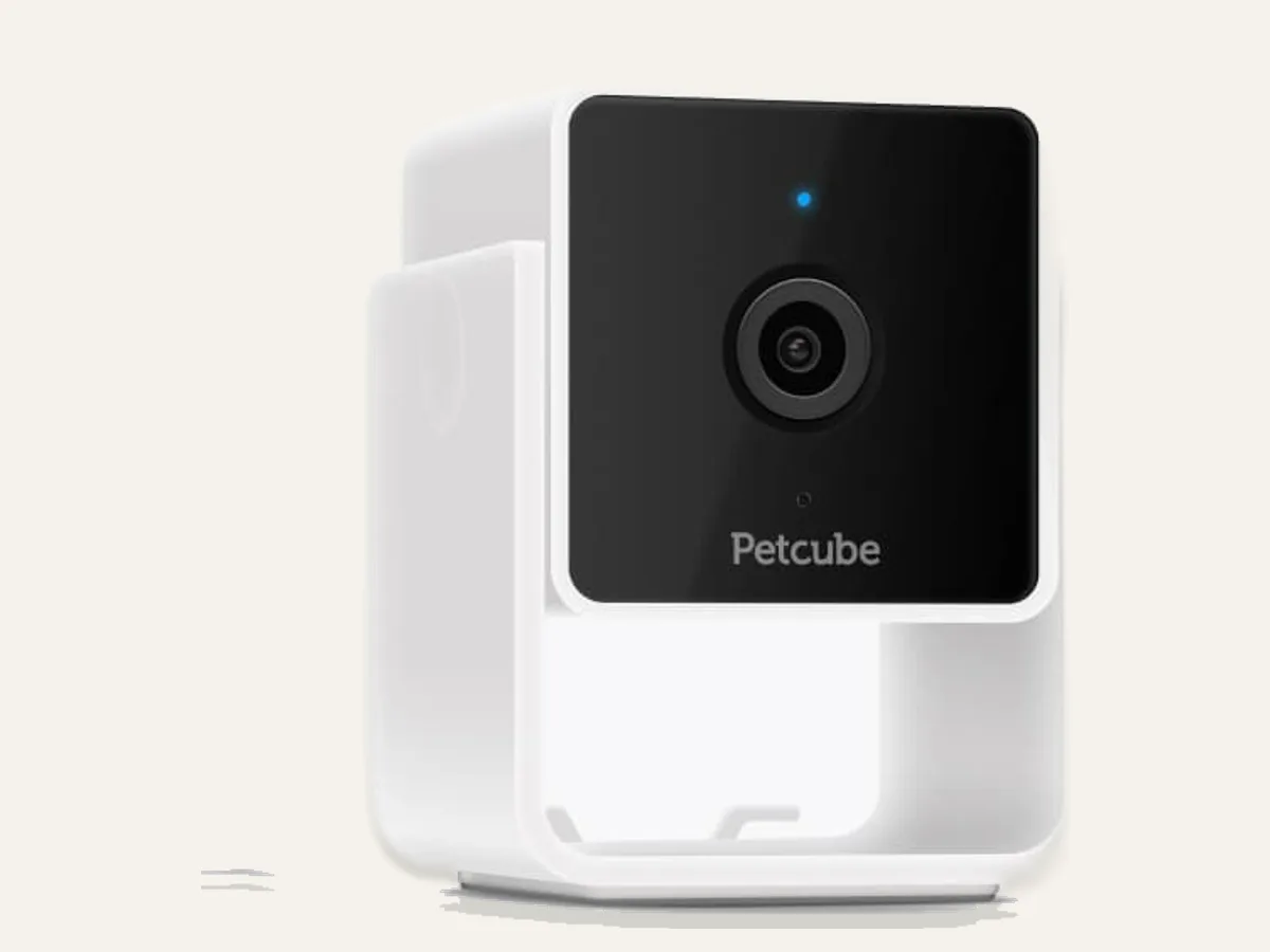 Petcube Cam