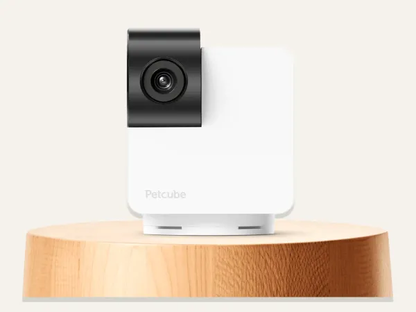 Image: Petcube Petcube Cam 360