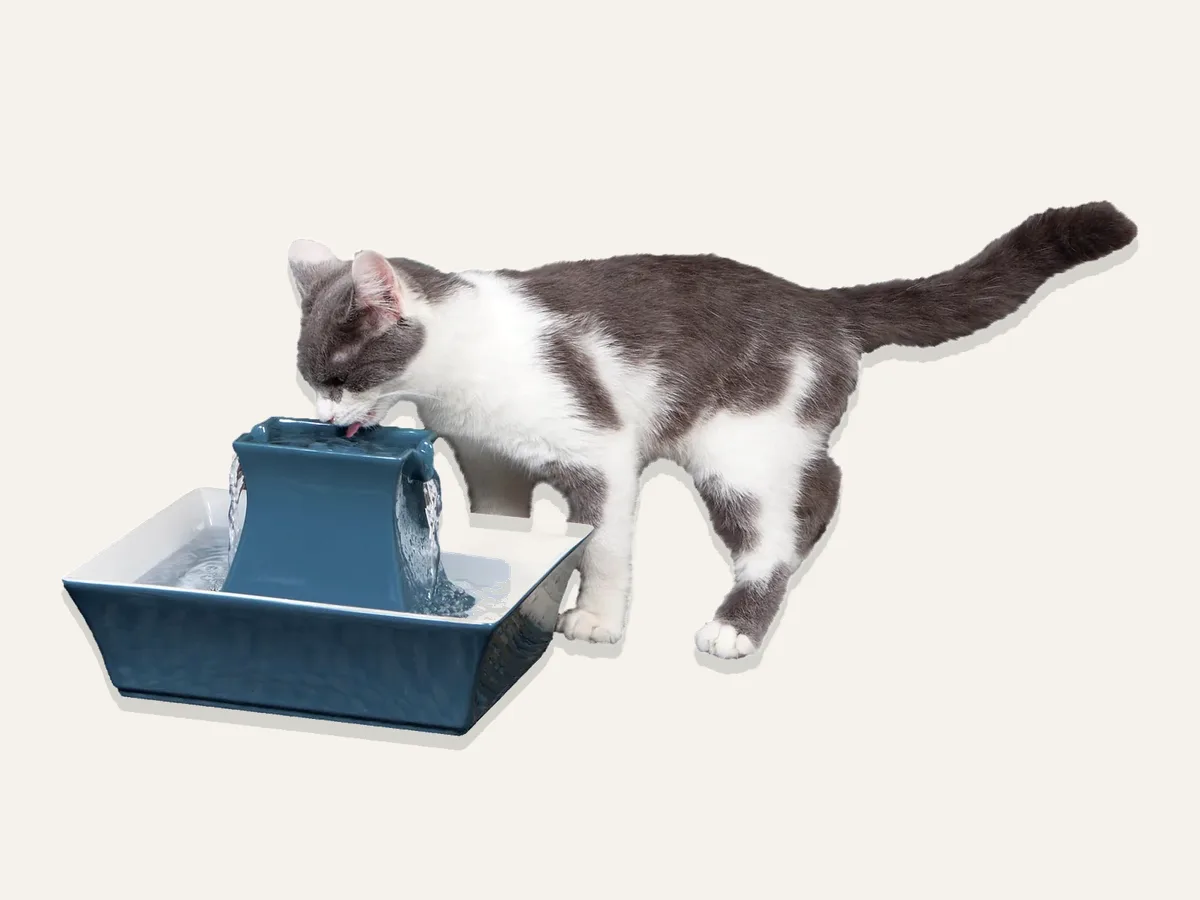 PetSafe Drinkwell® Pagoda Fountain