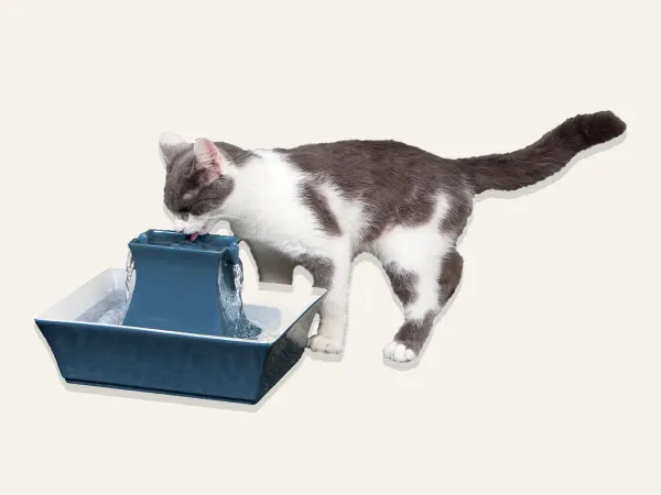 Image: PetSafe PetSafe Drinkwell® Pagoda Fountain