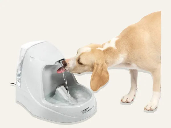 Image: PetSafe PetSafe Drinkwell® Platinum® Pet Fountain