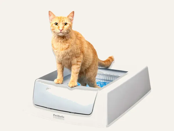 PetSafe ScoopFree Crystal Classic Self-Cleaning Litter Box