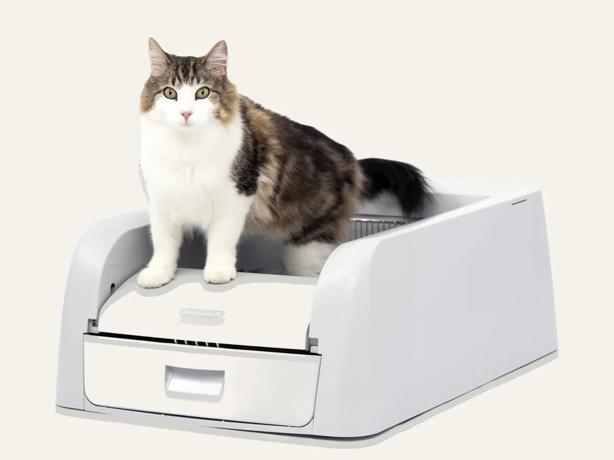 PetSafe ScoopFree Clumping Self-Cleaning Litter Box