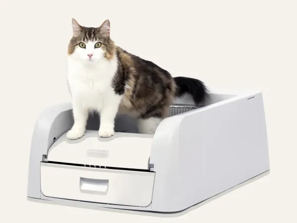 PetSafe ScoopFree Clumping Self-Cleaning Litter Box