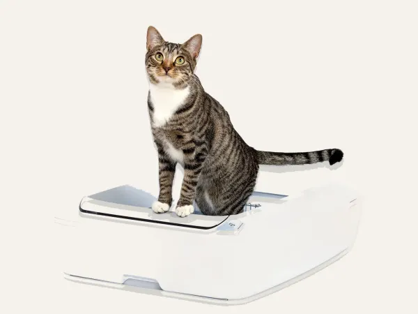 PetSafe ScoopFree Crystal Plus Self-Cleaning Litter Box (uncovered) / ScoopFree Crystal Pro Self-Cleaning Litter Box (hooded) — 2024 generation