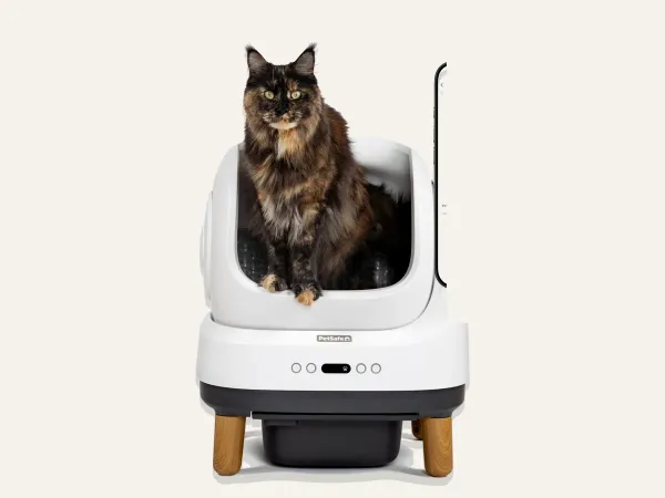 PetSafe ScoopFree OpenSky Self-Cleaning Litter Box