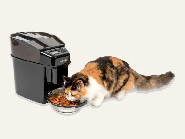 Image: PetSafe PetSafe Healthy Pet Simply Feed