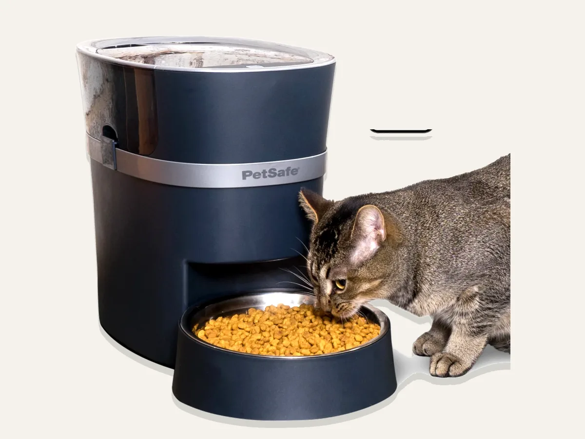 PetSafe Smart Feed Automatic Dog and Cat Feeder, 2nd Generation