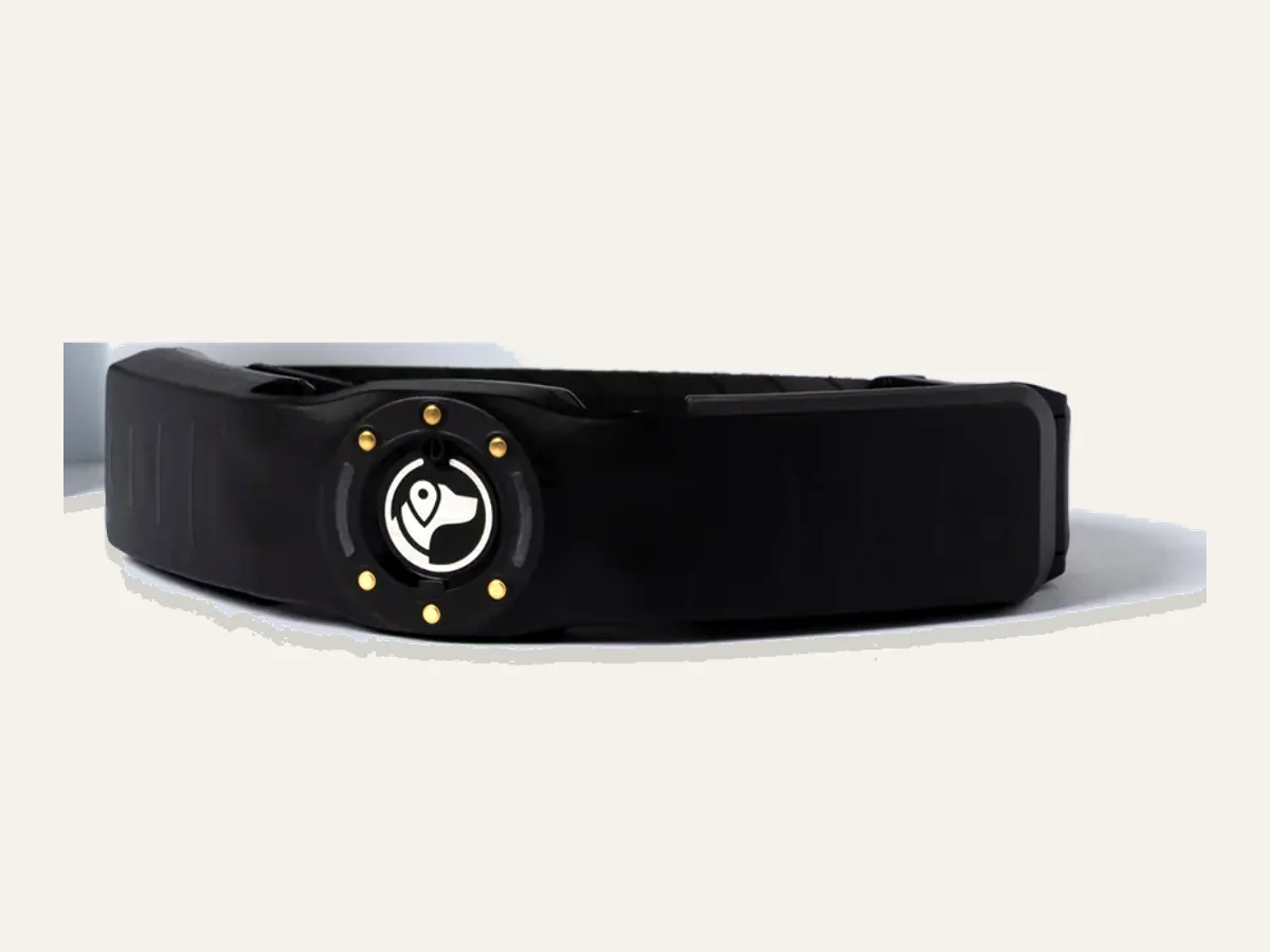 SpotOn GPS Dog Fence™ - Nova Edition