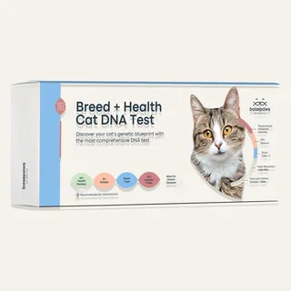 Basepaws Breed + Health Cat DNA Test