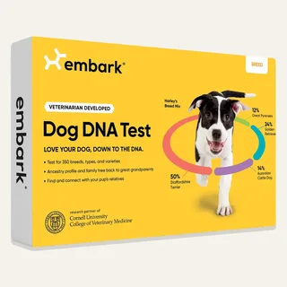 Embark Breed ID Dog DNA Test