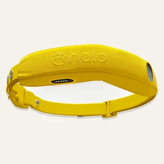 Halo Collar 4
