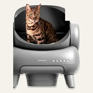 Neakasa M1 Plus Open Top Self-Cleaning Cat Litter Box