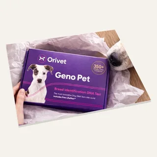 Orivet Geno Pet Dog Breed Identification Test Kit