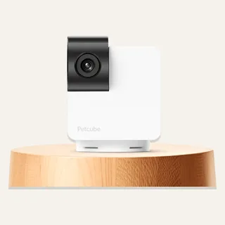 Image: Petcube Petcube Cam 360