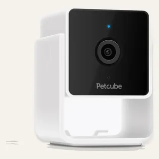 Image: Petcube Petcube Cam