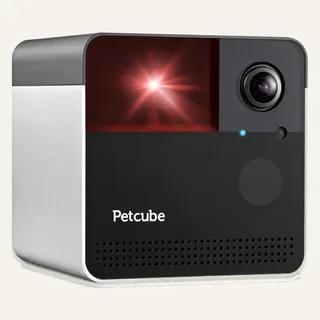Image: Petcube Petcube Play 2