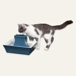 Image: PetSafe PetSafe Drinkwell® Pagoda Fountain