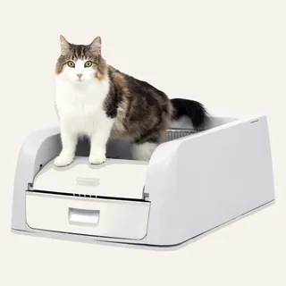PetSafe ScoopFree Clumping Self-Cleaning Litter Box