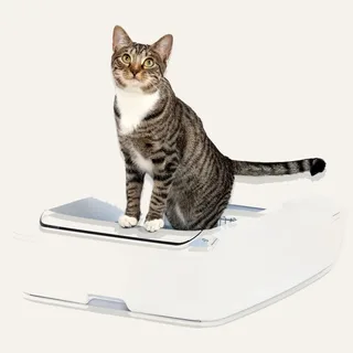 PetSafe ScoopFree Crystal Plus Self-Cleaning Litter Box (uncovered) / ScoopFree Crystal Pro Self-Cleaning Litter Box (hooded) — 2024 generation