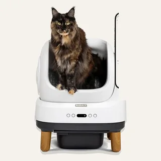 PetSafe ScoopFree OpenSky Self-Cleaning Litter Box