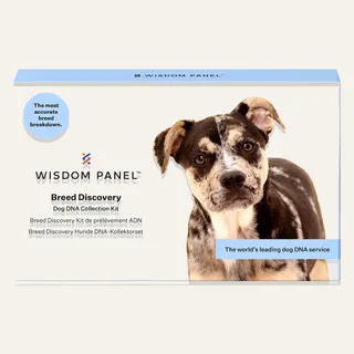 Image: Wisdom Panel (Mars Petcare / Kinship)