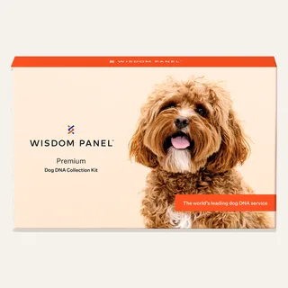 Wisdom Panel™ Premium