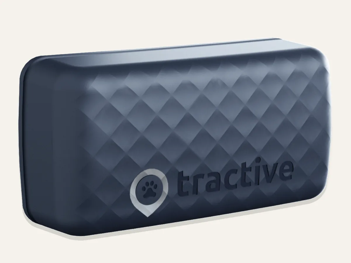 Tractive CAT 6 Mini