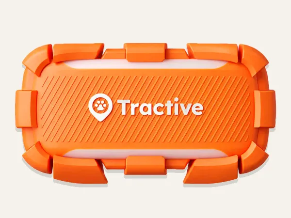 Tractive DOG 6 XL