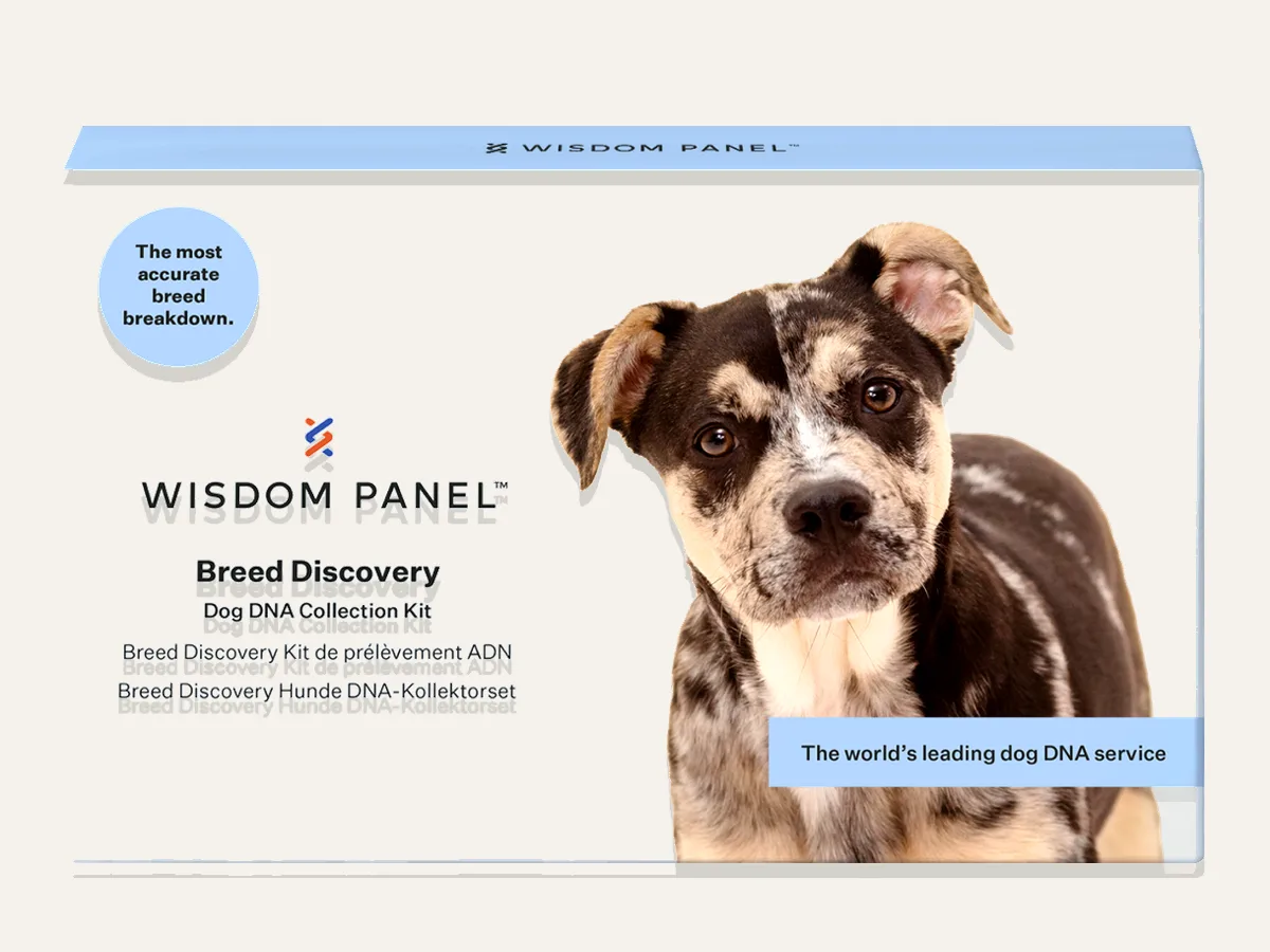 Wisdom Panel™ Breed Discovery