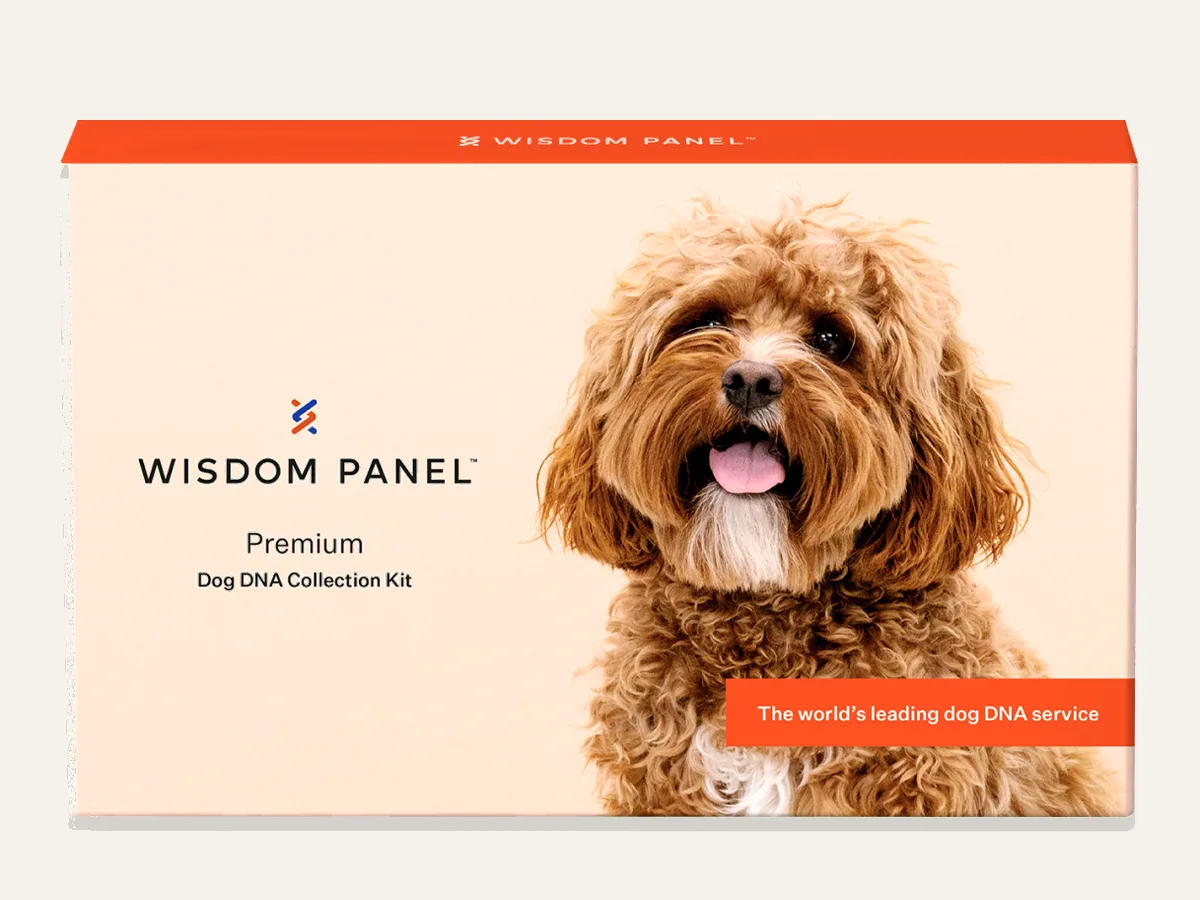 Wisdom Panel™ Premium